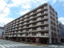 �������󥳡��ݾ��������